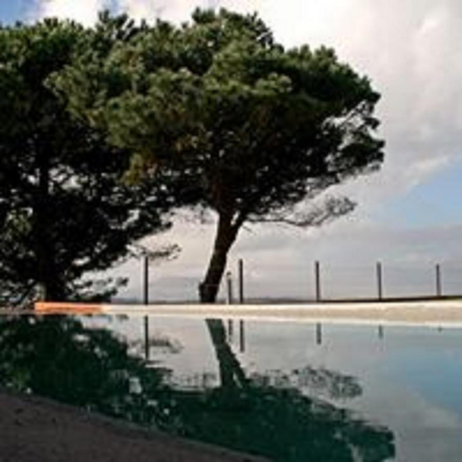 Shepinetree - Pinheira Hotel Vale de Lobos Ngoại thất bức ảnh